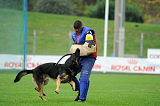 Karus of Timo Kennel
