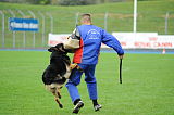 Karus of Timo Kennel