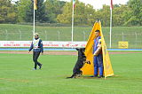 Karus of Timo Kennel
