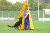 Karus of Timo Kennel