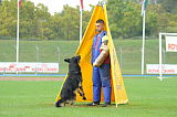 Karus of Timo Kennel