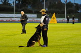Karus of Timo Kennel
