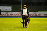 Karus of Timo Kennel