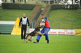 Amagers Rofus