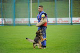 Amagers Rofus