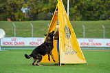 Aik vom Thal der schwarzen Wölfe