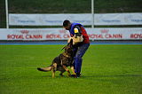 Filou vom Rio Negro
