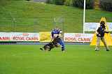 Filou vom Rio Negro