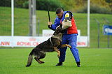 Dornholz Drago