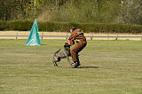 Boyd`s Bullriding Glenmore