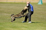 Boyd`s Bullriding Glenmore