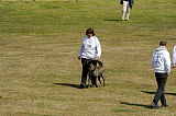 Boyd`s Bullriding Glenmore