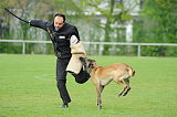 Sepp vom Further Moor