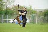 Myron vom Drachenherz