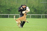 Nanuk vom Further Moor