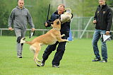 Nanuk vom Further Moor