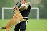 Nanuk vom Further Moor