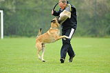 Nanuk vom Further Moor
