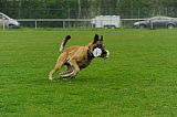 Nanuk vom Further Moor