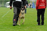 Nanuk vom Further Moor