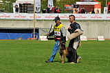 Akito von den Belgischen Wolfen