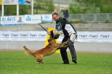 Akito von den Belgischen Wolfen