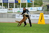 Akito von den Belgischen Wolfen