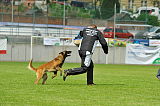 Akito von den Belgischen Wolfen