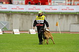 Akito von den Belgischen Wolfen