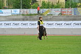Daneskjold Ursus