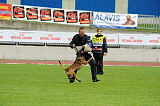 Daneskjold Ursus