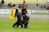 Rumba Djoakimo dog