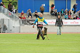 Enck vom Hause Ripp