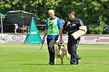 Jessy vom Adlerauge