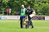Jessy vom Adlerauge