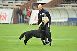 B'dog vom Eichbaum