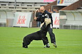 B'dog vom Eichbaum