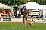 Dack vom schwarzen Habicht