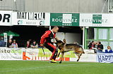 H Reggie von Haus Juros