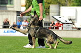 Ike vom Klinkert