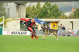 Arko de Marchamalo