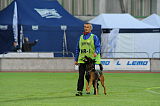 Bak Malinois of Sprajc