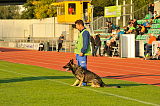 Aragon vom wilden Klee