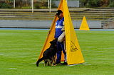 Ivor vom Pacific