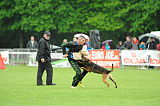 Bak Malinois of Sprajc