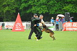 Bak Malinois of Sprajc