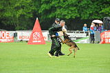 Bak Malinois of Sprajc