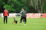 Bak Malinois of Sprajc