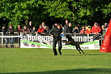 Myron vom Drachenherz