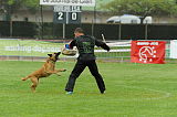 Alma Veranis K-9 Dog Center